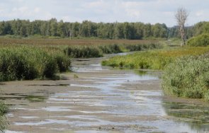 обстановката община троян успокои проливния дъжд