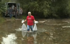 зарибяват река искрецка кризата своге