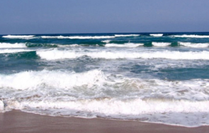 жените станали причина смъртта спасителя слънчев бряг били вадени водата