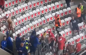 фен бори живота жестокото меле ница кьолн видео