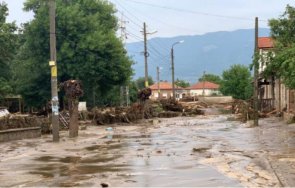 демерджиев включва проверките незаконна сеч карловско