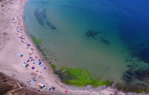 съдът отряза кмета царево корал