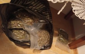 рекордно количество дрога иззеха акция гдбоп варненско снимки