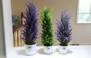 имате аромати дома привлечете пари