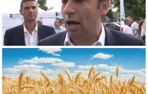 Киро Пшеница Украйна