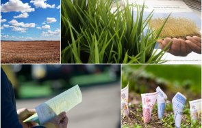 продавайте земя късно цената падне