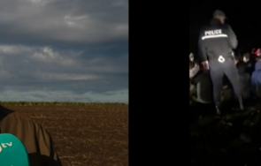 охранител лозя залови мигранти апарухово