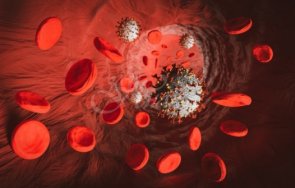 предразположени сте тромбози яжте веднъж седмично