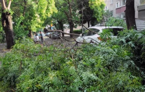 щетите бурята бургаско възлизат хиляди