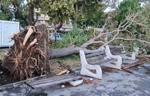 опустошителната буря обявиха частично бедствено положение поморие