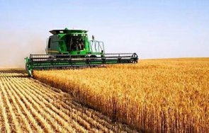 зърнопроизводители готвят блокади границата заради вноса украинско зърно
