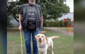 скандално отказаха незрящ мъж кучето водач достъп автобус