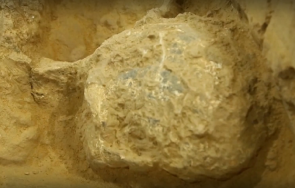 сензация археолози откриха фосилизиран череп хомо еректус млн години видео