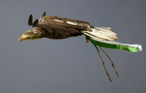 уефа излъчва филм орела лудогорец 