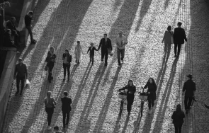 нси обявява резултатите преброяване 2021