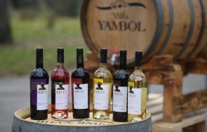 вила ямбол прибра топ реколта серията kabile вдъхновена траките снимки