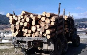 засякоха камион кубика крадени дърва