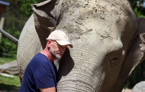 Слоницата Тарга