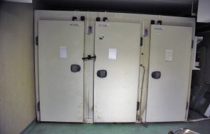 моргата бургас косъм зараза тъпчат трупове мигранти фризери сладолед снимки