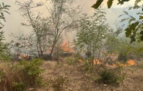 армия доброволци четвърти ден борят огнената стихия здравец