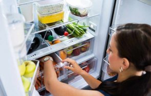 домакините слагат гъба чинии хладилника отговорът изненада мнозина