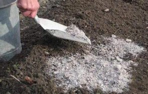 никога смесвайте пепелта знае всеки градинар