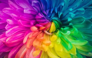 разберете топлите цветове въздействат