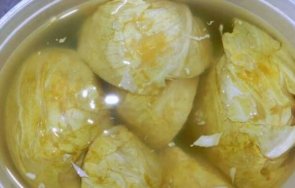 вредно киселото зеле