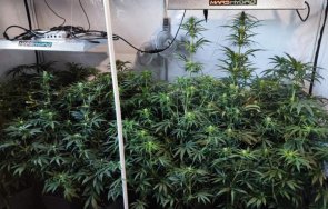 задържаха мъж разпространение наркотици великотърновско