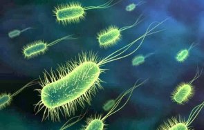 проучват магнитни бактерии рак