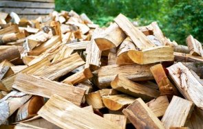 криза богатите държави европа топлят дърва