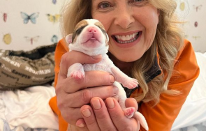 Катерина Евро