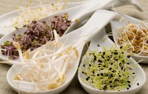 буркан направете имате кълнове цяла зима