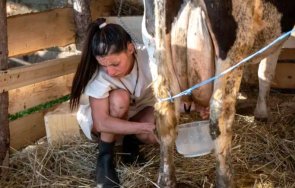 Фермата доене