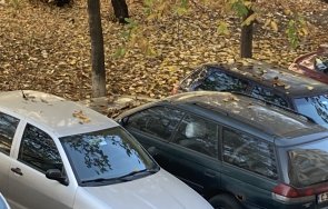 трик махнете падналите листа колата секунди