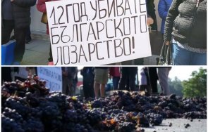 писна недоволни лозари излизат протест