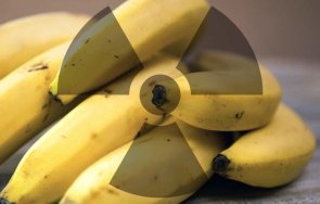 наистина бананите радиоактивни