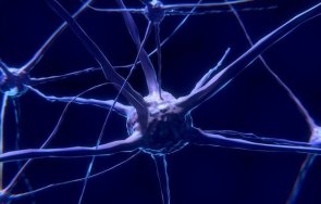 невронна мрежа регулира осветлението настроението човека