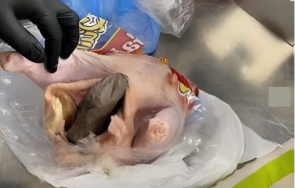 откриха пистолет скрит сурово пиле летище флорида