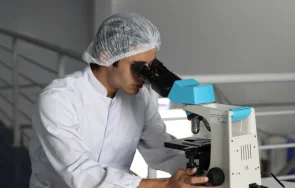 учени откриха нервни клетки гръбначния мозък ускоряват лечението парализирани пациенти