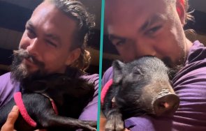 нова мода джейсън момоа появи пижама домашното прасе