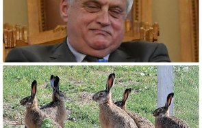 Бойко Рашков зайци граница