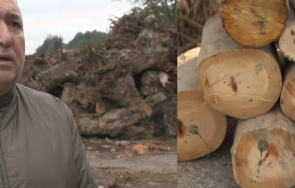 кметът карлово решението плащат безплатните дърва взето общоселско събрание богдан