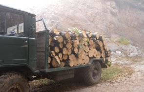 нелепо мъж загина катастрофа кола камион дърва великотърновско