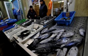 навечерието никулден рибата държи добра цена