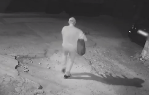 зверство ултрас левски изтезава часове кучето мечо набедиха зоофил