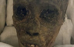 антрополог реконструира главата тутанкамон