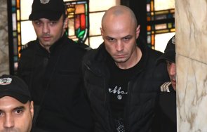 мъчителят кучето мечо остава ареста