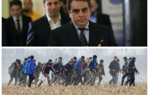 обясни асен василев мигрантите минават границата лабораторията цитруси…