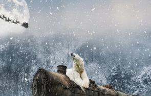 удължават курсовете коледния влак